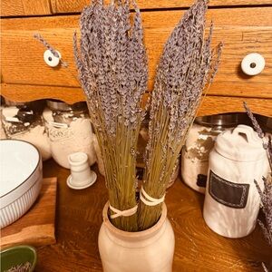 2 Dried Lavender Bouquets picked local last summer